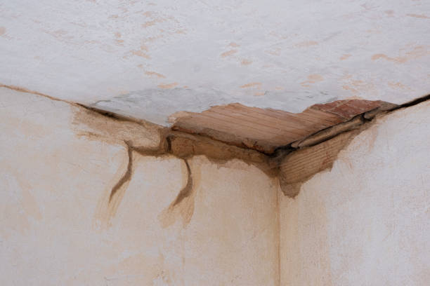Best Mold removal after water damage  in Orange Beach, AL
