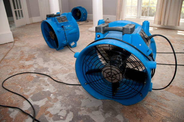Best Sewage cleanup and water damage restoration  in Orange Beach, AL