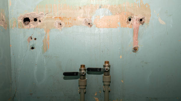 Best 24/7 water damage repair  in Orange Beach, AL