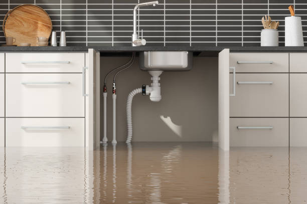 Best Water damage contractors near me  in Orange Beach, AL