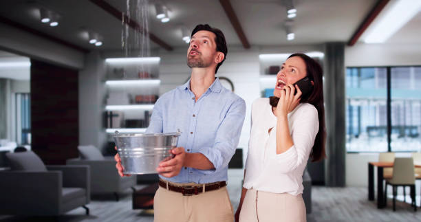 Best Flood restoration services  in Orange Beach, AL